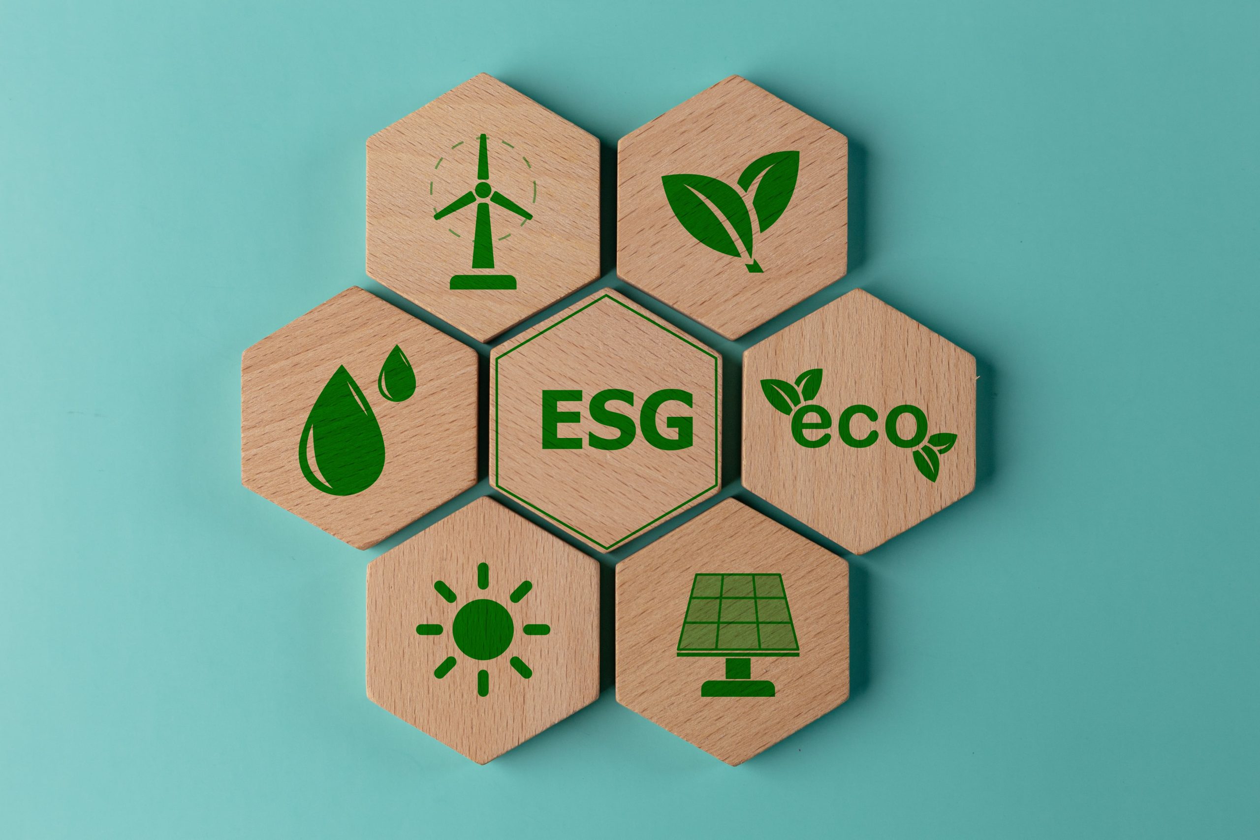 Entenda a diferença entre ESG e sustentabilidade
