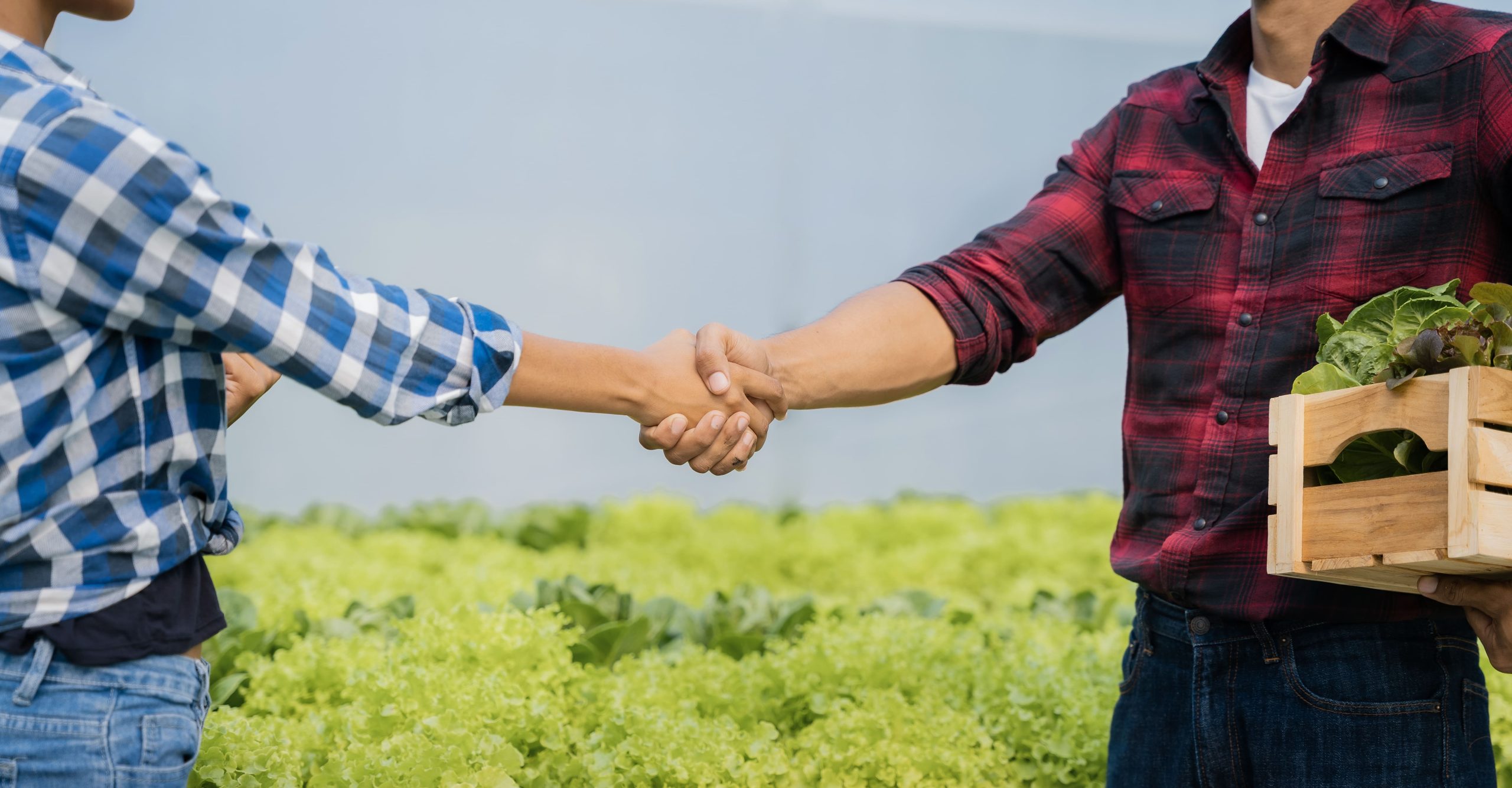 Responsabilidade Estendida do Produtor adiaesp blog duas pessoas do agro dando as mãos