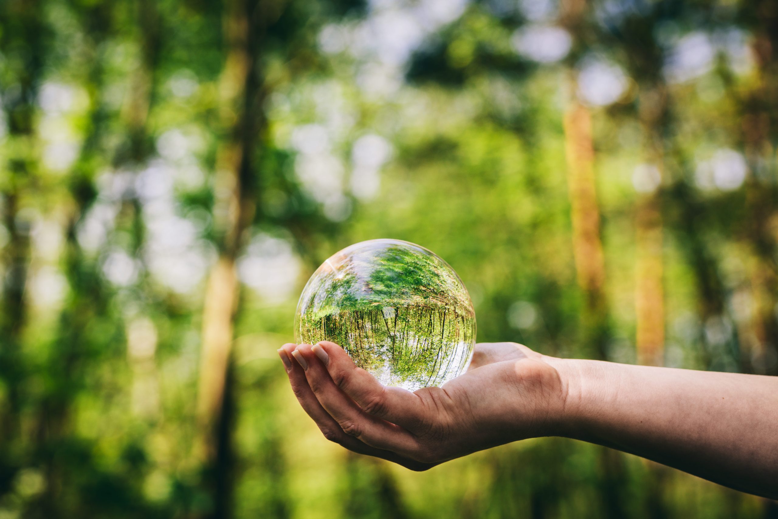 Dia Mundial do Meio Ambiente e o papel da logística reversa