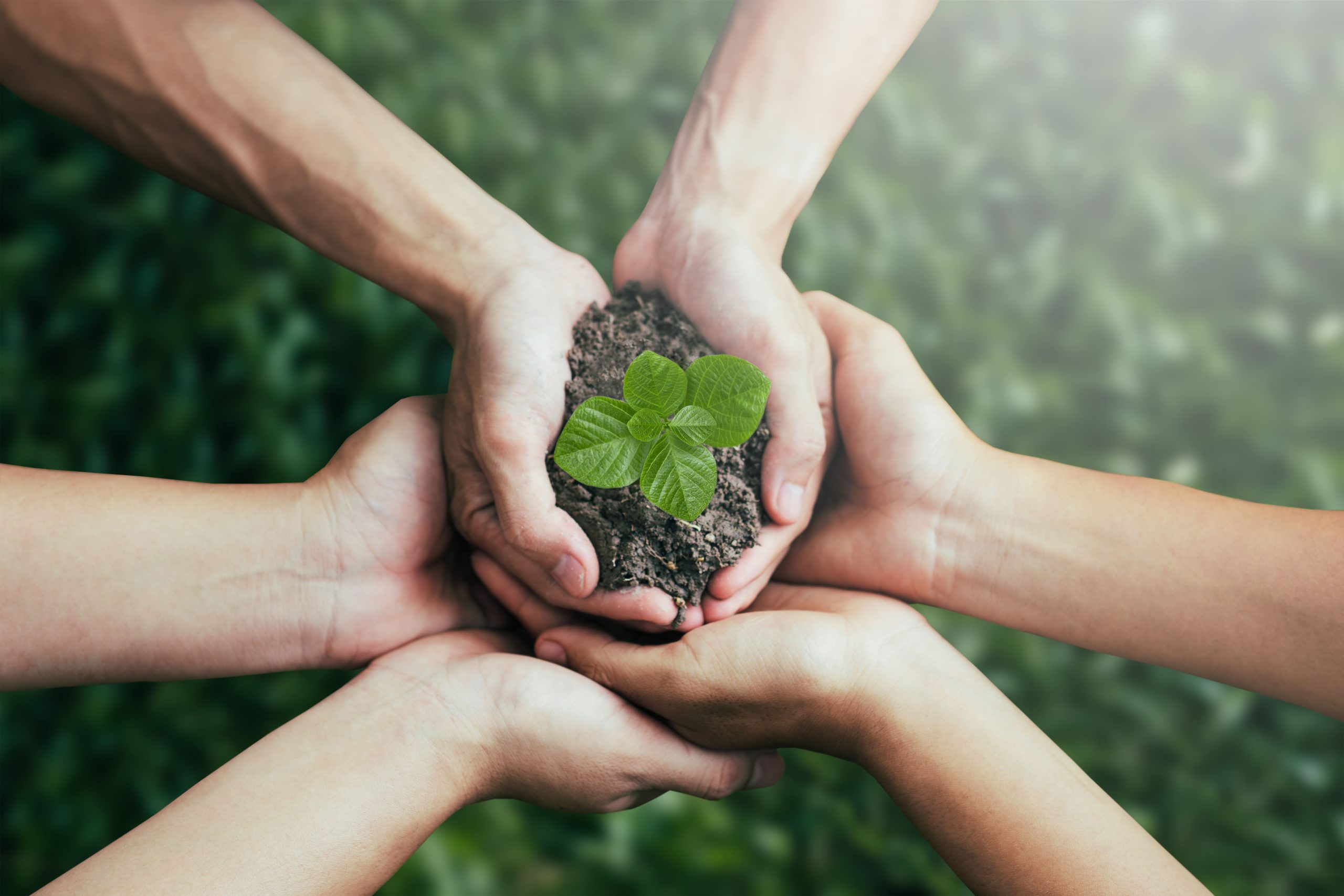 Sustentabilidade no agronegócio e a tríade vital para o agro