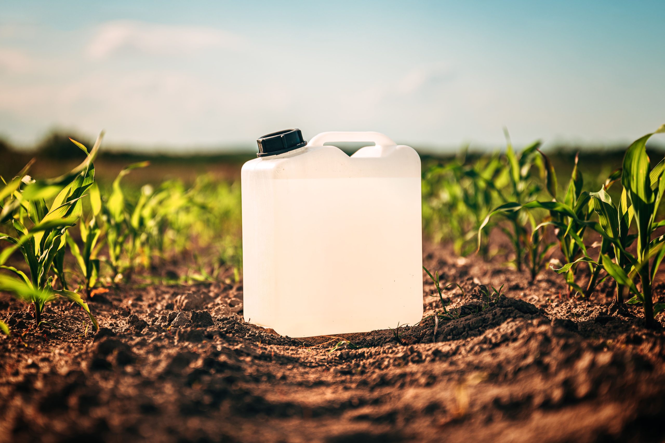 Embalagens não laváveis de agrotóxicos: além da tríplice lavagem