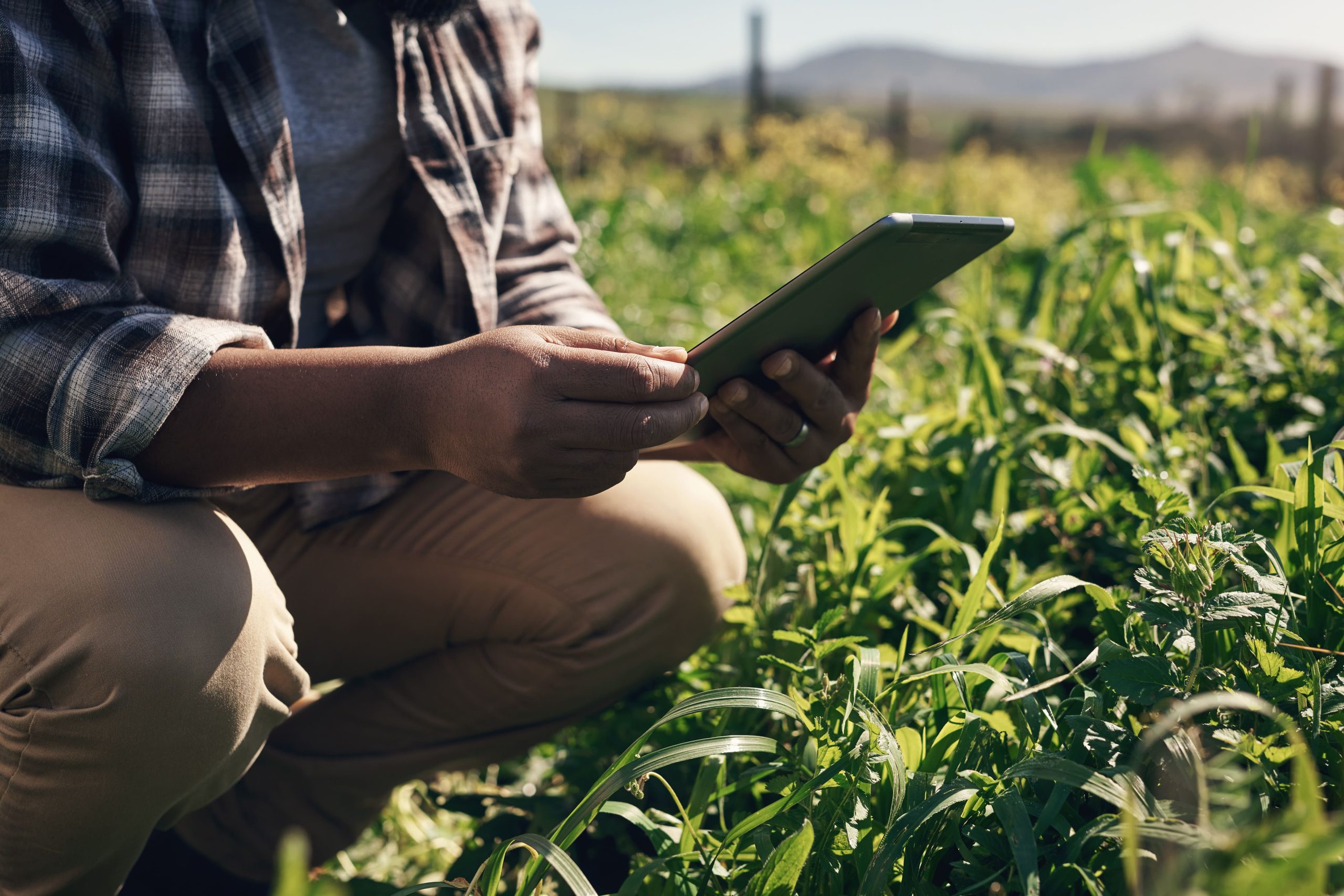 Rastreabilidade no agronegócio: prova documental que fortalece o ESG