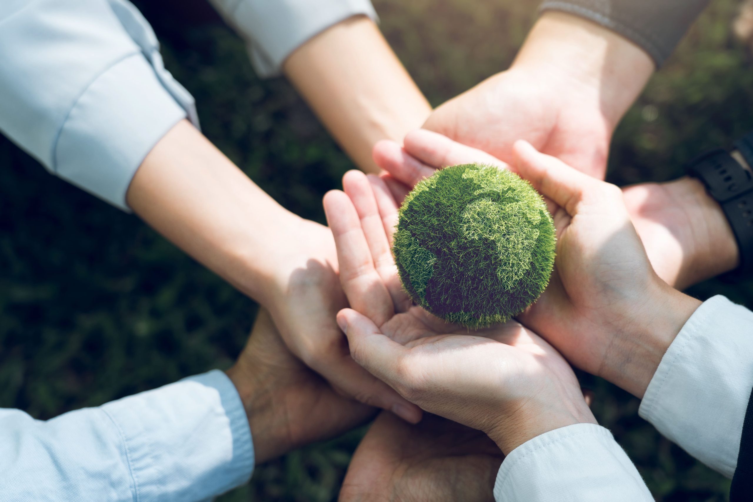 Entenda a responsabilidade socioambiental no agronegócio