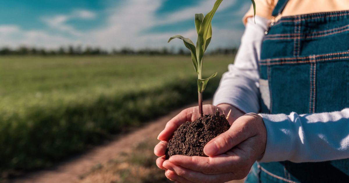 agronegócio sustentável adiaesp blog agricultora segurando muda nas mãos