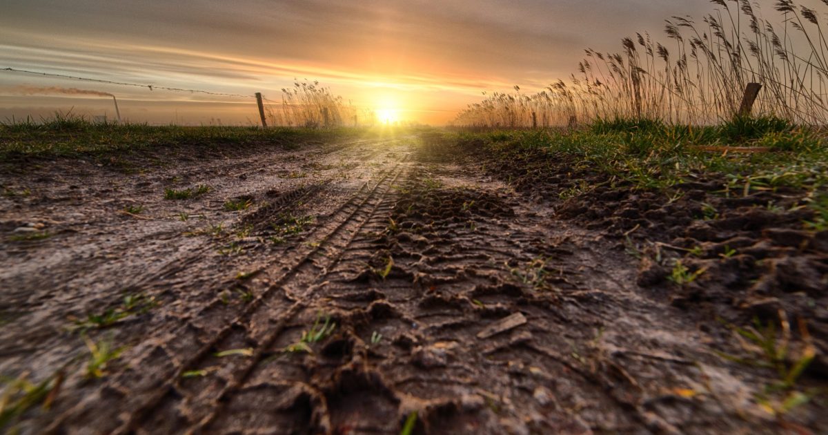 pegada de carbono no agronegócio adiaesp blog plantação com por do sol