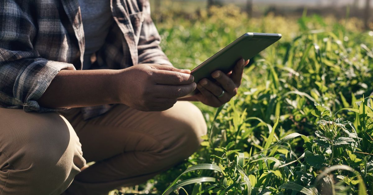 rastreabilidade no agronegócio adiaesp blog tecnologia no agro